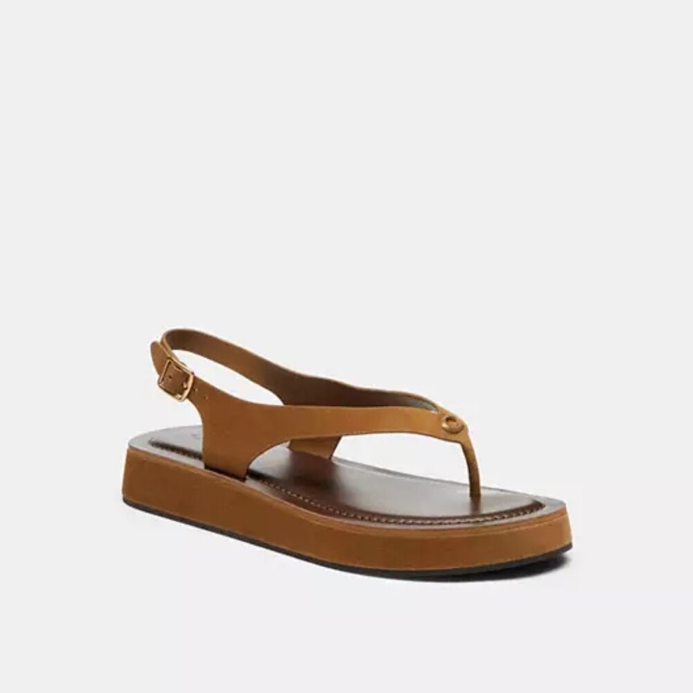COACH Women's Sculpted C Platform Suede Thong Sandals Size 9